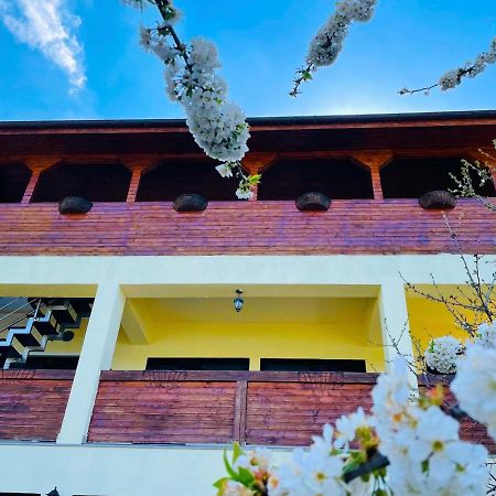 Casa Camelia Hotel Dubova Exterior photo